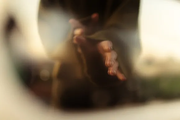 Royal Slots Casino Support